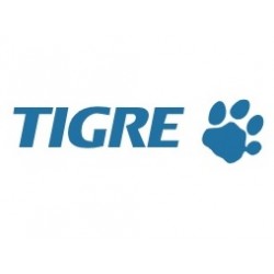 Tigre Paraguay